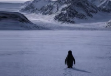 “Pinguini Nihilist” po pushton internetin, gjithçka që duhet të dini rreth meme-s më virale të 2026-ës