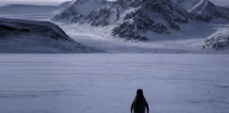 “Pinguini Nihilist” po pushton internetin, gjithçka që duhet të dini rreth meme-s më virale të 2026-ës