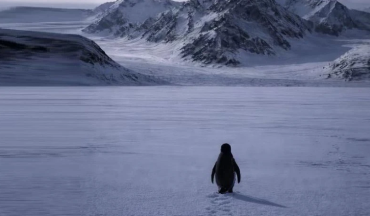 pinguini-nihilist-po-pushton-internetin-gjithcka-qe-duhet-te-dini-rreth-meme-s-me-virale-te-2026-es