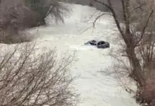 Ra me makinën që drejtonte në përrua dhe nuk e ndihmoi pasagjerin, arrestohet 24-vjeçari në Klos