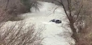 Ra me makinën që drejtonte në përrua dhe nuk e ndihmoi pasagjerin, arrestohet 24-vjeçari në Klos