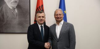 Balla takim me raportuesin për Shqipërinë në PE, Andreas Schieder: Shqipëria “favoriti kryesor” mes vendeve kandidate për anëtarësim në BE