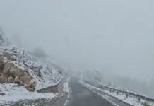 Nisin reshjet e borës në qarkun e Kukësit/ Temperaturat zbresin deri në –16°C, autoritetet i bëjnë thirrje shoferëve për kujdes