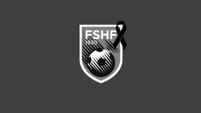 logo_fshf_ne_zi_web-1_sd