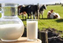 Nestlé tërheq qumështin pluhur për foshnje, çfarë duhet të dinë prindërit