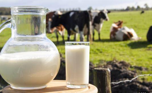 Nestlé tërheq qumështin pluhur për foshnje  çfarë duhet të dinë prindërit