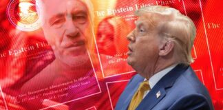 Dosja ‘Epstein’, vjen reagimi i Trump: Më shfajëson mua totalisht! E majta radikale shpresonte të isha i përfshirë, por u vërtetua e kundërta