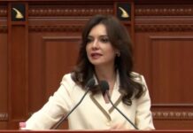 Pr/ligji për shërbimin e jashtëm, Kapri: Ç’do të bëni me nepotizmin? Spiropali: Synon reformë të thellë, diplomatë në lartësinë e duhur