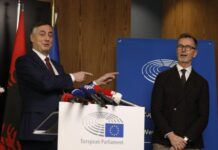 McAllister-Berisha, karma që kthehet pas 10 vjetësh