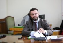 Plarent Ndreca: Neni 242/2 mes interpretimit kushtetues dhe rrezikut të antikushtetutshmërisë