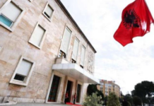 Kushtetuta nuk lejon pezullimin e qeverisjes