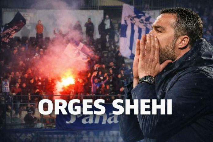 -800-0-1771922169ximg-2489-981