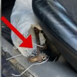 I dehur dhe me armë zjarri në makinë, arrestohet 46-vjeçari në Mat