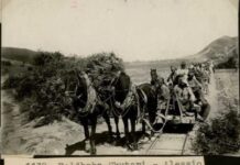 Si erdhi hekurudha në Shqipëri?