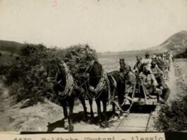 Si erdhi hekurudha në Shqipëri?