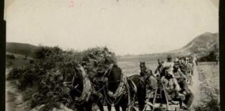 Si erdhi hekurudha në Shqipëri?