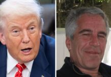 “Trump më tha se të gjithë e dinin atë që bënte Epstein”