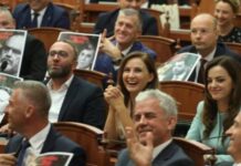 Rasti Hoti dhe narko-opozita e Berishës: Hijet e krimit mbi selinë blu