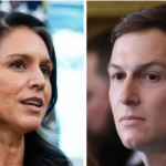 Plas skandali në SHBA/ Tulsi Gabbard akuzohet se fshehu një regjistrim mbi Jared Kushner