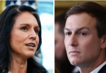 Plas skandali në SHBA/ Tulsi Gabbard akuzohet se fshehu një regjistrim mbi Jared Kushner