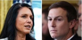 Plas skandali në SHBA/ Tulsi Gabbard akuzohet se fshehu një regjistrim mbi Jared Kushner
