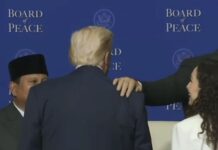 Baton Haxhiu: Politika kërkon b*le, jo britma