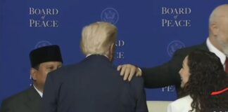 Baton Haxhiu: Politika kërkon b*le, jo britma