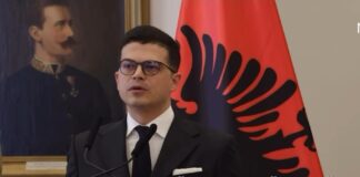 Ministri Vengu dhe homologu hungarez: Partneritet i thelluar në mbrojtje dhe mbështetje e qartë për integrimin europian të Shqipërisë