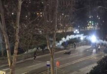 VIDEO/ Protestuesi goditet me bombul gazlotsjellës në kokë