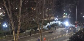 VIDEO/ Protestuesi goditet me bombul gazlotsjellës në kokë