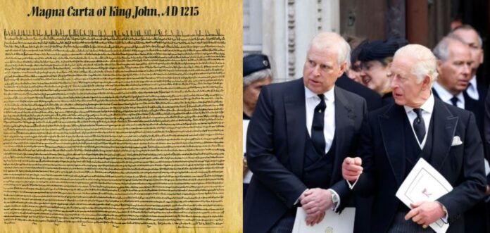 WhatsApp Image 2026-02-19 at 12.46.55 PM