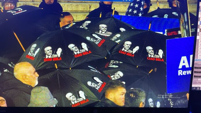 WhatsApp Image 2026-02-20 at 6.49.58 PM