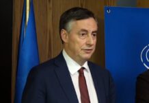 Përfaqësuesi i PE-së McAllister për mediat: Protestat e dhunshme nuk kanë vend në demokraci