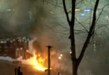 Bustin që nuk e shëmbëm dot