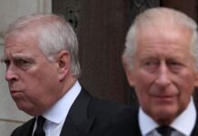 Historia e dy vëllezërve, a mund ta rrëzojë kriza e Andrew-t Mbretin Charles?