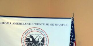 Dhoma Amerikane e Tregtisë ngre alarmin për ‘e-Albania’: Rreziqe serioze për biznesin, sigurinë dhe të dhënat sensitive