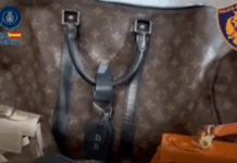 Vidhnin banesat e milionerëve në Spanjë, shkatërrohet banda e “skifterëve”, 4 nga të arrestuarit janë shqiptarë