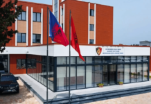 Aksident në Shkodër/ Përplasi me makinë 8-vjeçaren, procedohet 45-vjeçari