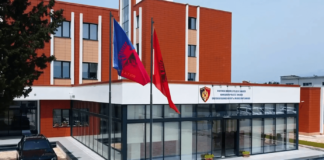 Aksident në Shkodër/ Përplasi me makinë 8-vjeçaren, procedohet 45-vjeçari