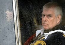 Hera e parë në historinë moderne që arrestohet një anëtar i familjes mbretërore