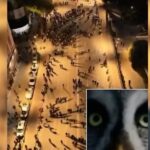 Balla reagon me ironi për protestën e PD-së: Berishën e braktisën edhe të vetët