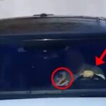 Me celular në timon, Lamallari paralajmëron shoferët: Nuk ka tolerancë