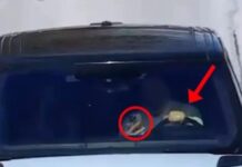 Me celular në timon, Lamallari paralajmëron shoferët: Nuk ka tolerancë