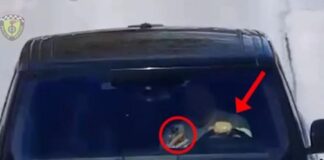 Me celular në timon, Lamallari paralajmëron shoferët: Nuk ka tolerancë