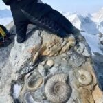 Zbulimi i madh në majën më të lartë të botës tregon shumë për historinë e planetit