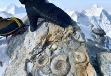 Zbulimi i madh në majën më të lartë të botës tregon shumë për historinë e planetit