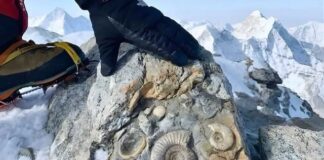 Zbulimi i madh në majën më të lartë të botës tregon shumë për historinë e planetit