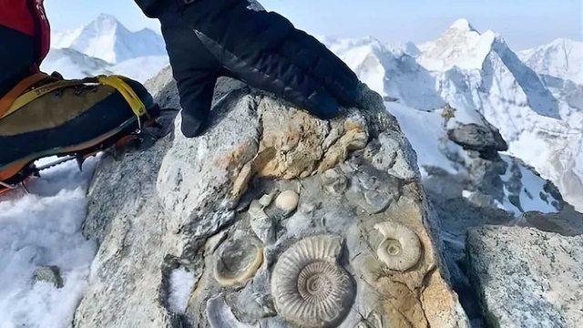 Zbulimi i madh në majën më të lartë të botës tregon shumë për historinë e planetit