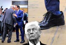Wall Street Journal: Trump i dhuron këpucë elegante Rubio dhe JD Vance, por me numër më të madh se këmbët e tyre!