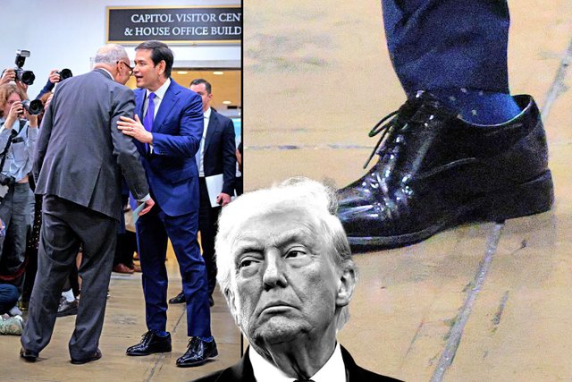 Wall Street Journal  Trump i dhuron këpucë elegante Rubio dhe JD Vance  por me numër më të madh se këmbët e tyre 